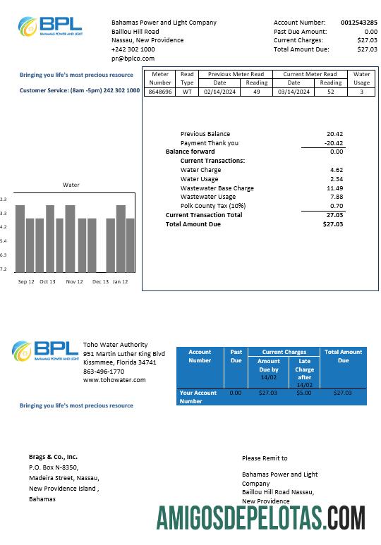 imprimível Modelo de conta de serviços públicos da Bahamas Power And Light Company em formato Word e PDF